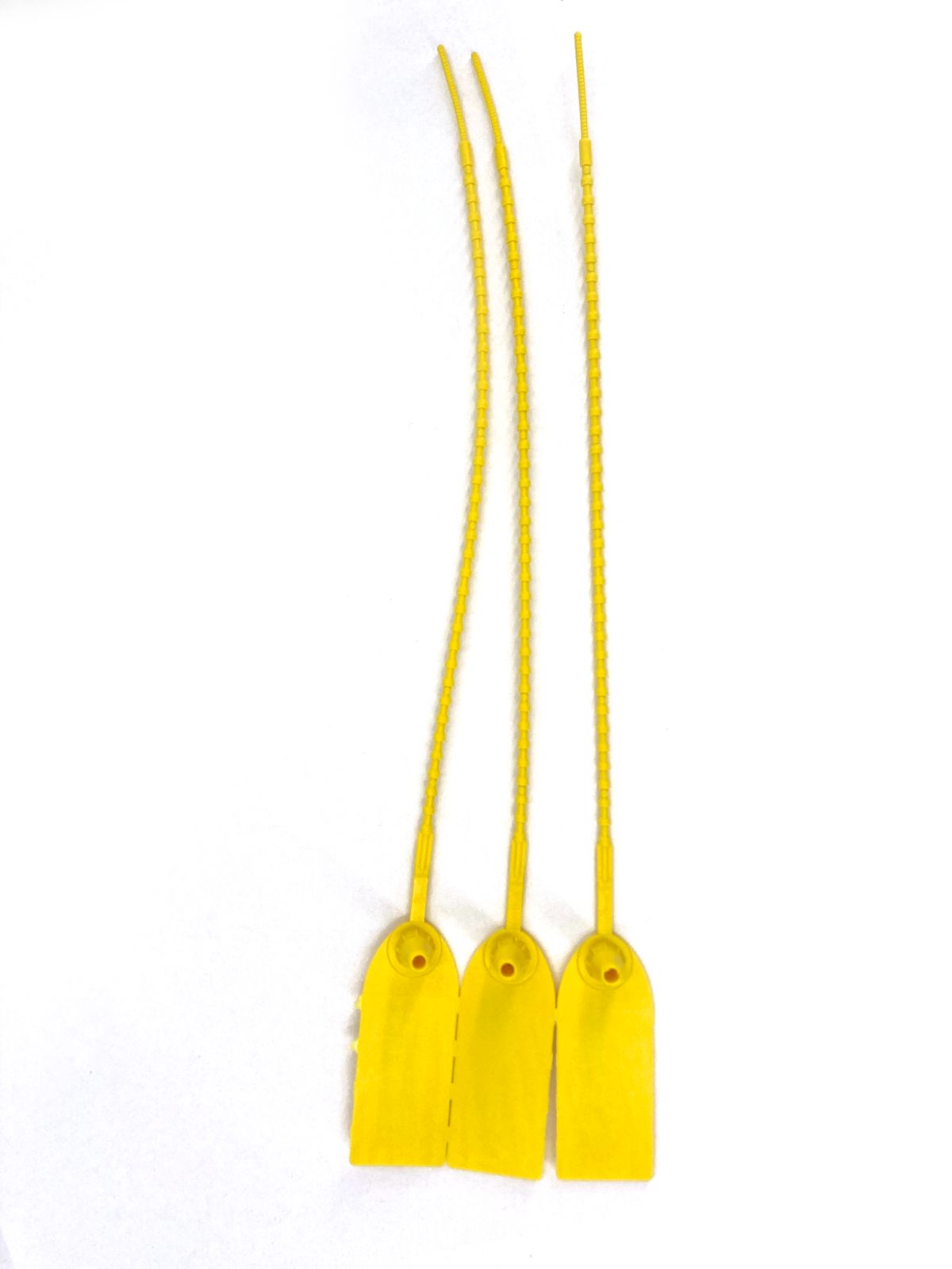 Sigilli Regularseal Lotto Unico 400pz - immagine 3