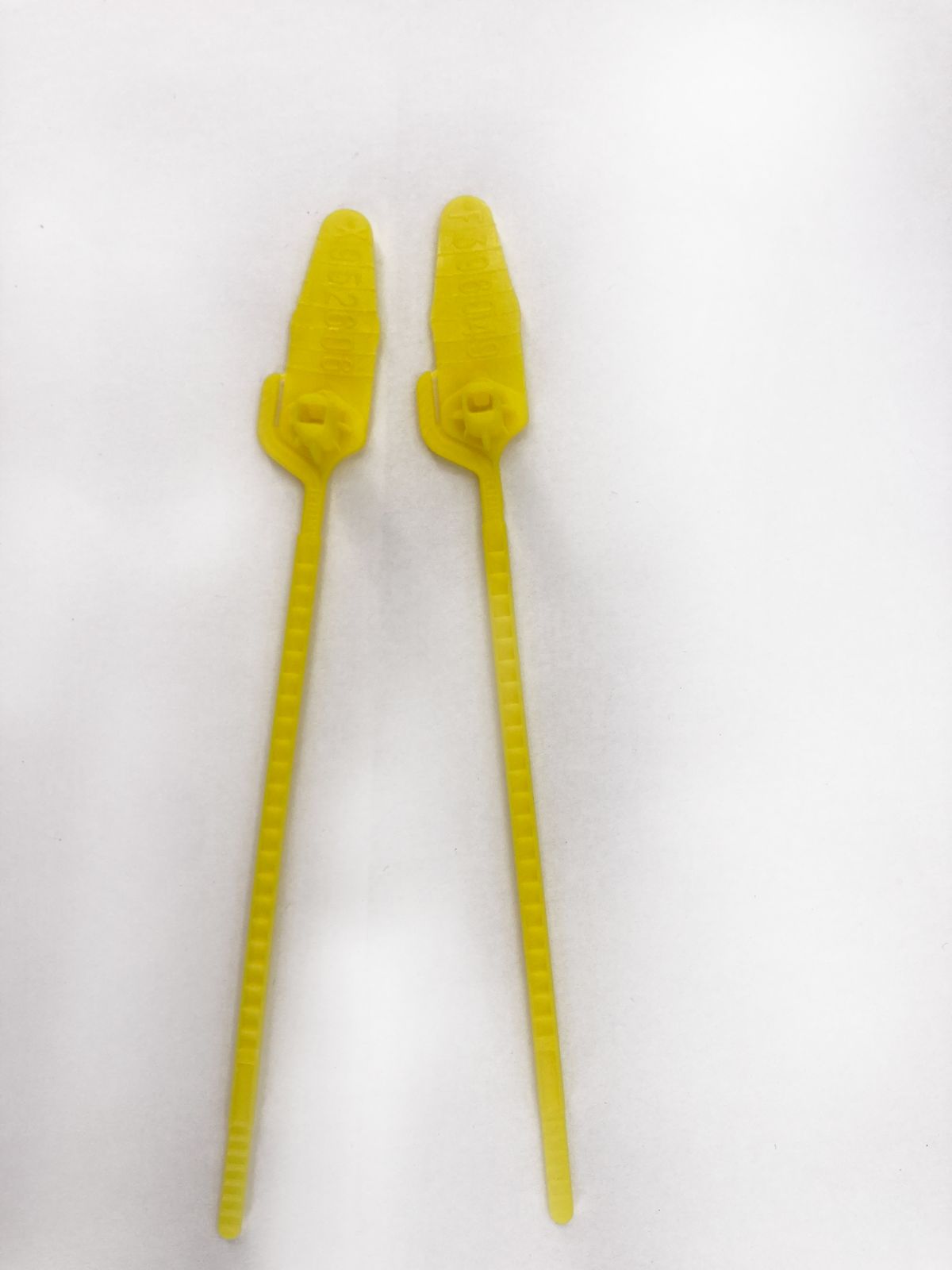 Sigilli Riplock 1N/R Lotto Unico 4500pz - immagine 2